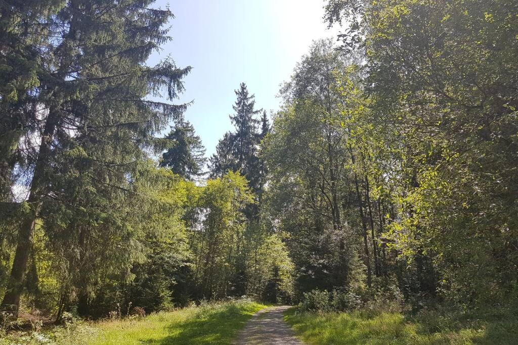 Altenauer Waldfrische Altenau  Exterior foto